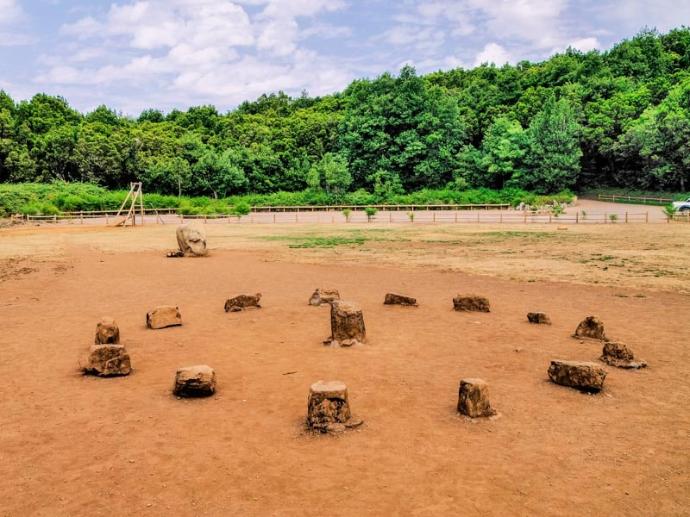 En La Laguna Grande, una zona recreativa en un claro del bosque de Laurisilva, se ve un claro de tierra con piedras en círculo para sentarse, estando de fondo el bosque del Parque Nacional de Garajonay